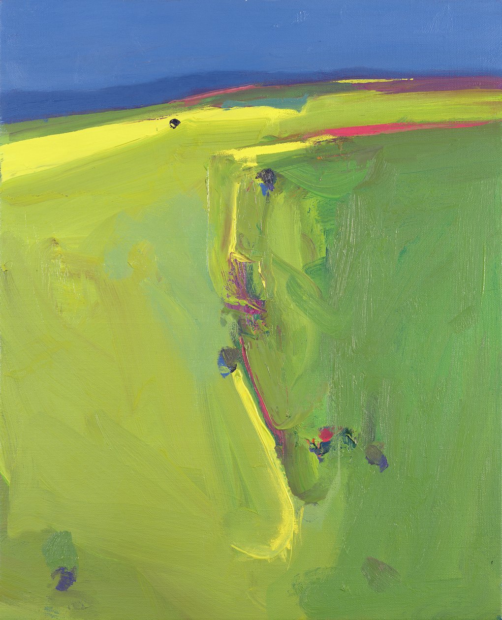 Zomer Downs, 2000 door John Miller
