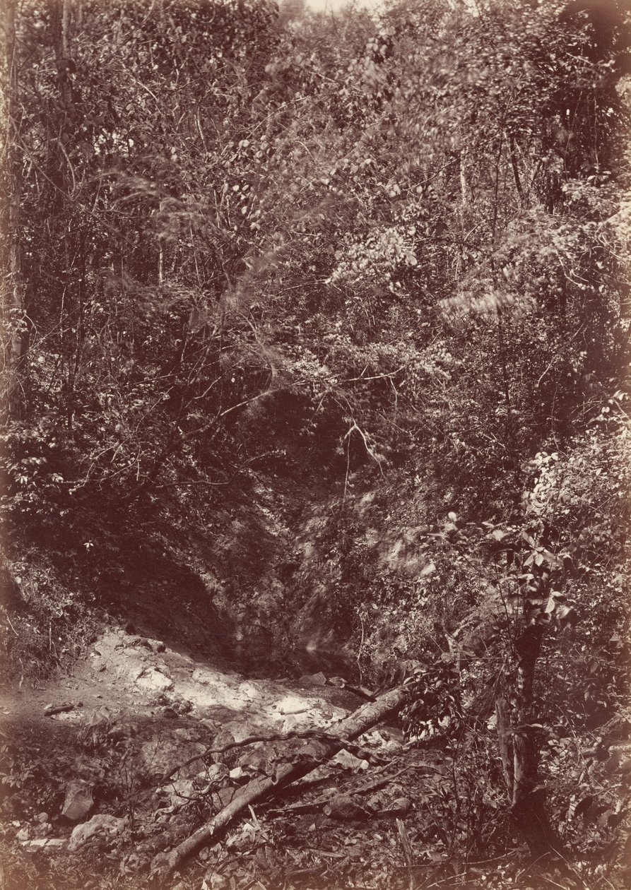 Expeditie Darien, 1871 (foto) door John Moran