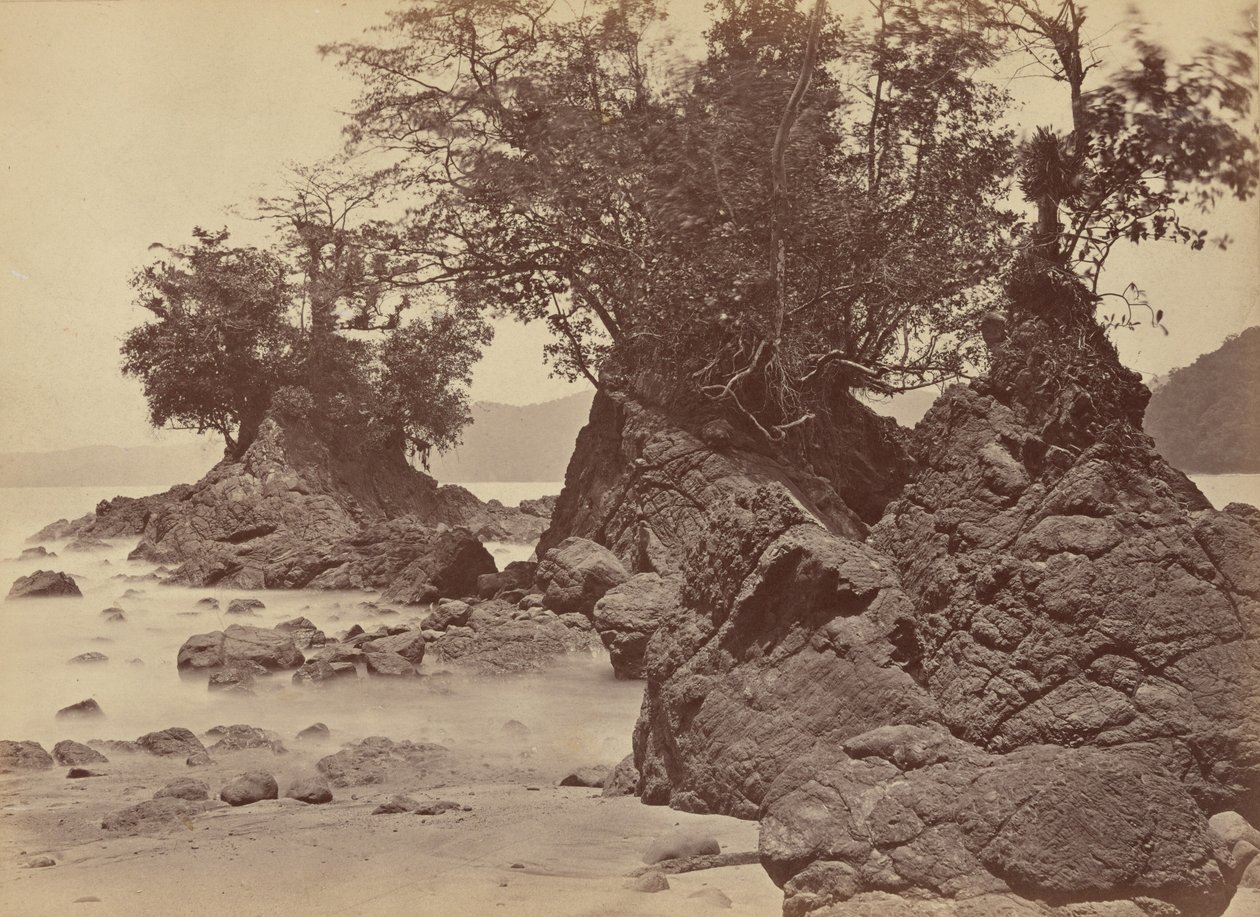 Eilanden, Limon-baai,1871 (foto) door John Moran