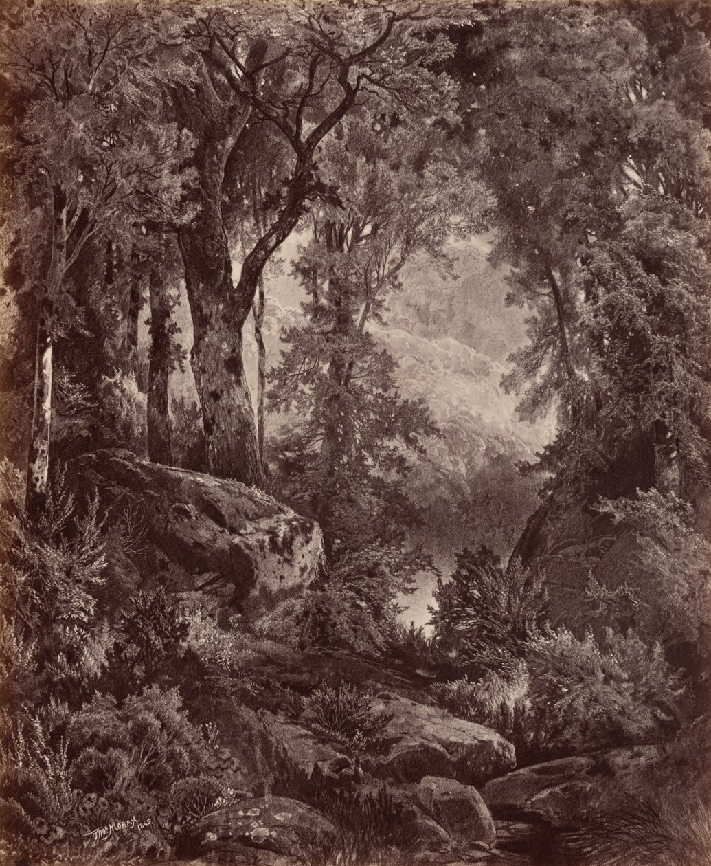 Eenzaamheid,1865 (foto) door John Moran