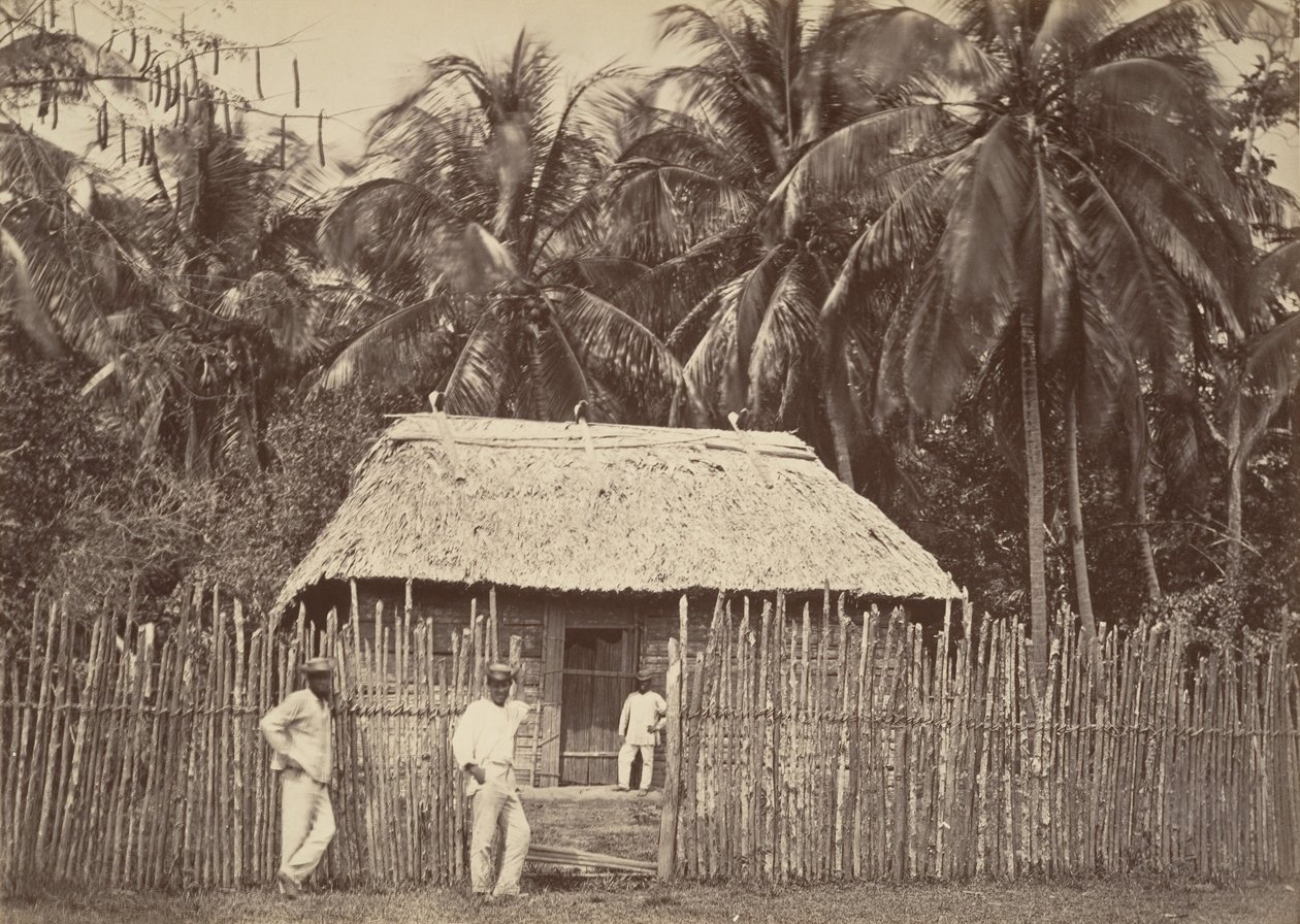 Tropisch landschap, inheemse hut, Turbo, 1871 door John Moran