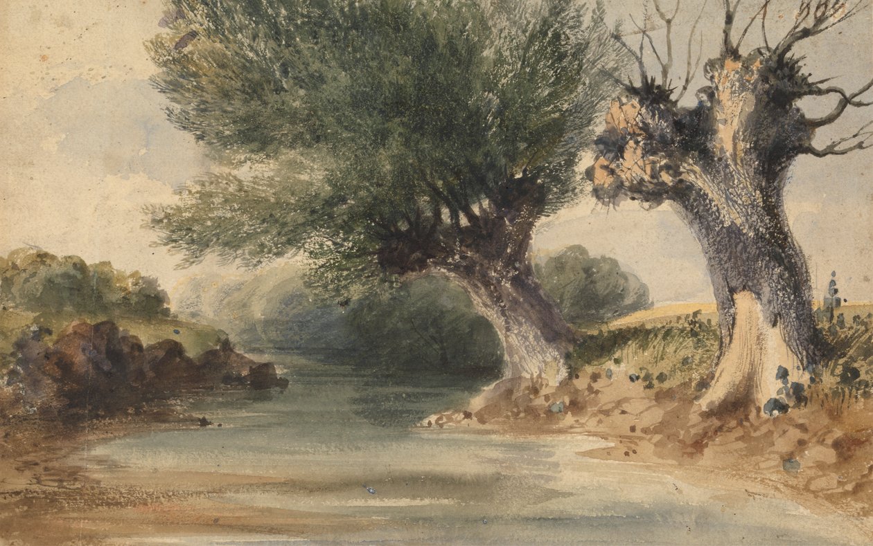 Aan de Colne, Middlesex door John Preston Neale