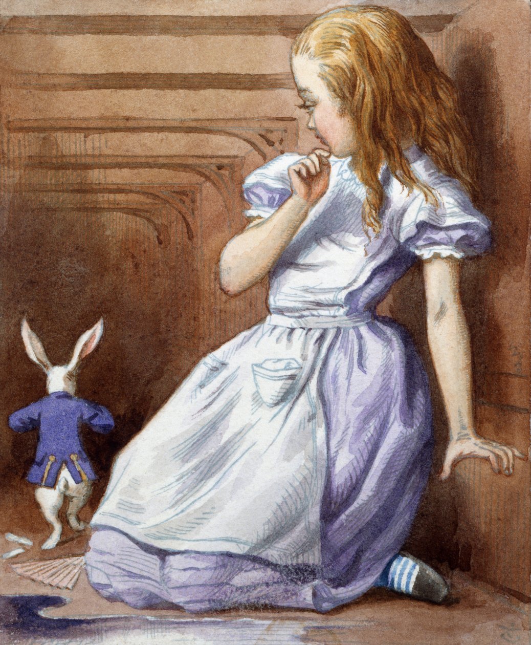Onbekend Beeld door John Tenniel