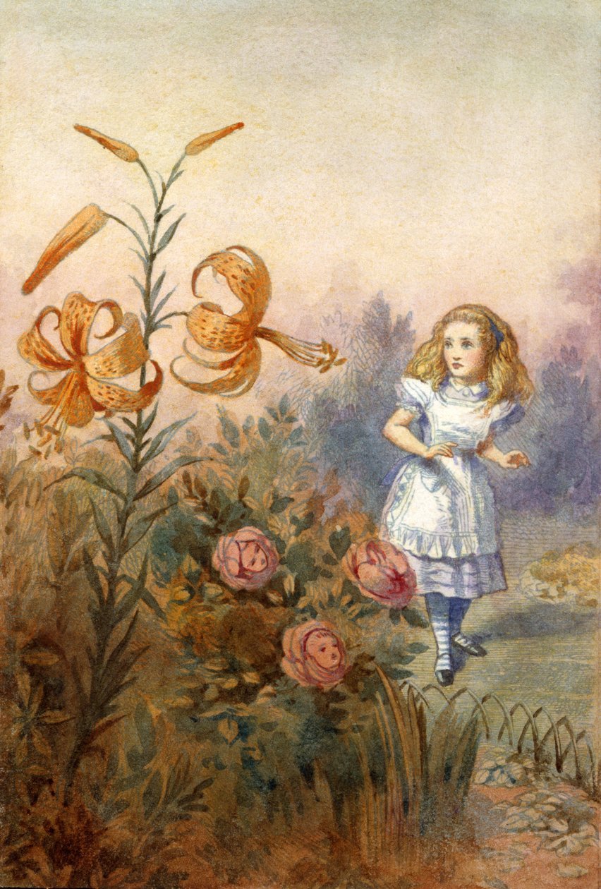 Onbekend Beeld door John Tenniel