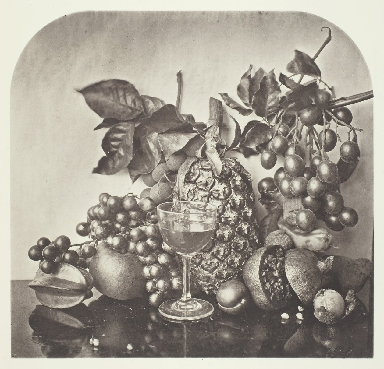 Fruit, ca. 1868 door John Thomson