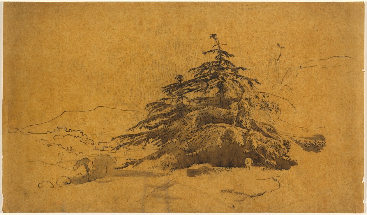 Studie van bomen in een landschap door John Varley