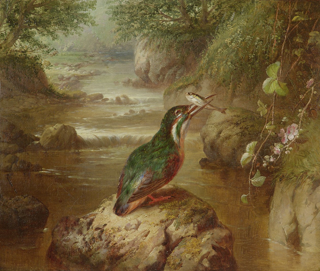 Het verblijf van de ijsvogel door John Wainwright