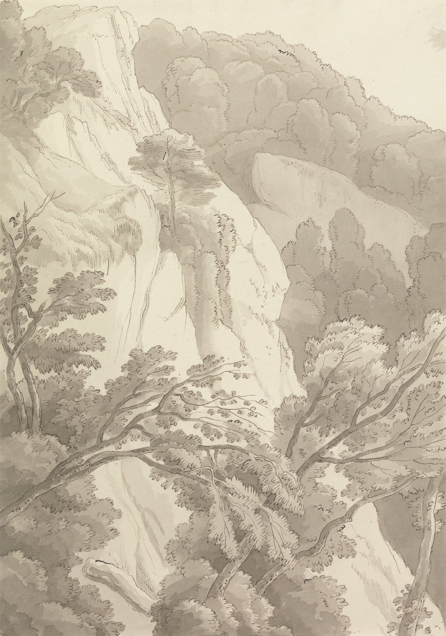 Canonteign door John White Abbott