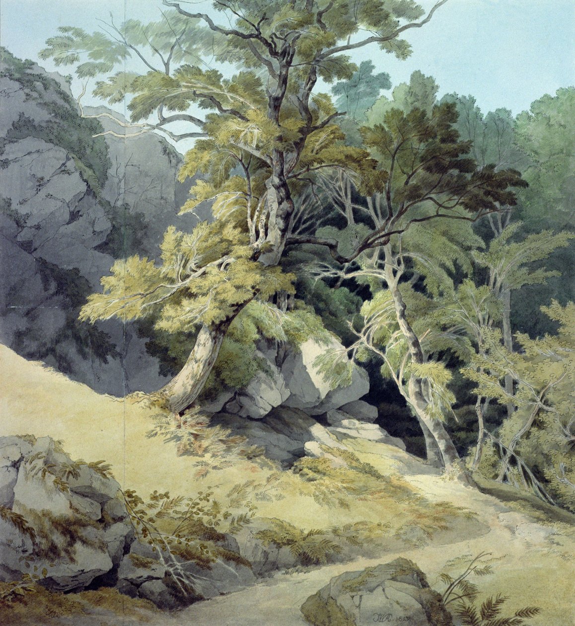Canonteign, Devon door John White Abbott