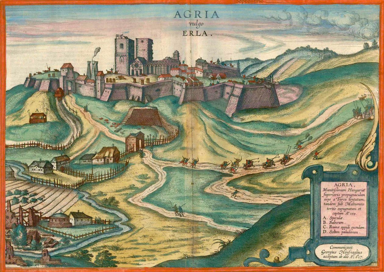 Agria aka Erla door Joris Hoefnagel