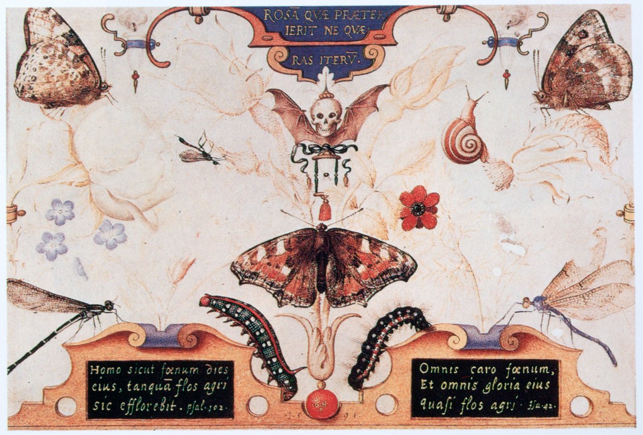 Diptiek met bloemen en insecten, 1591 door Joris Hoefnagel