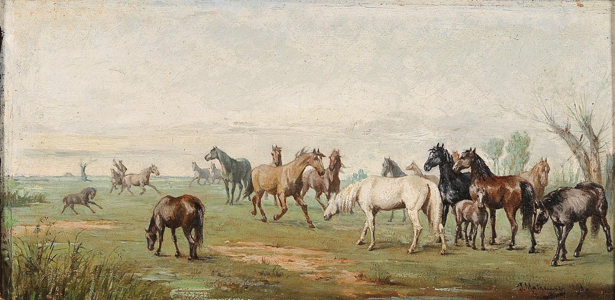 Kudde paarden met herder door Josef Mathauser