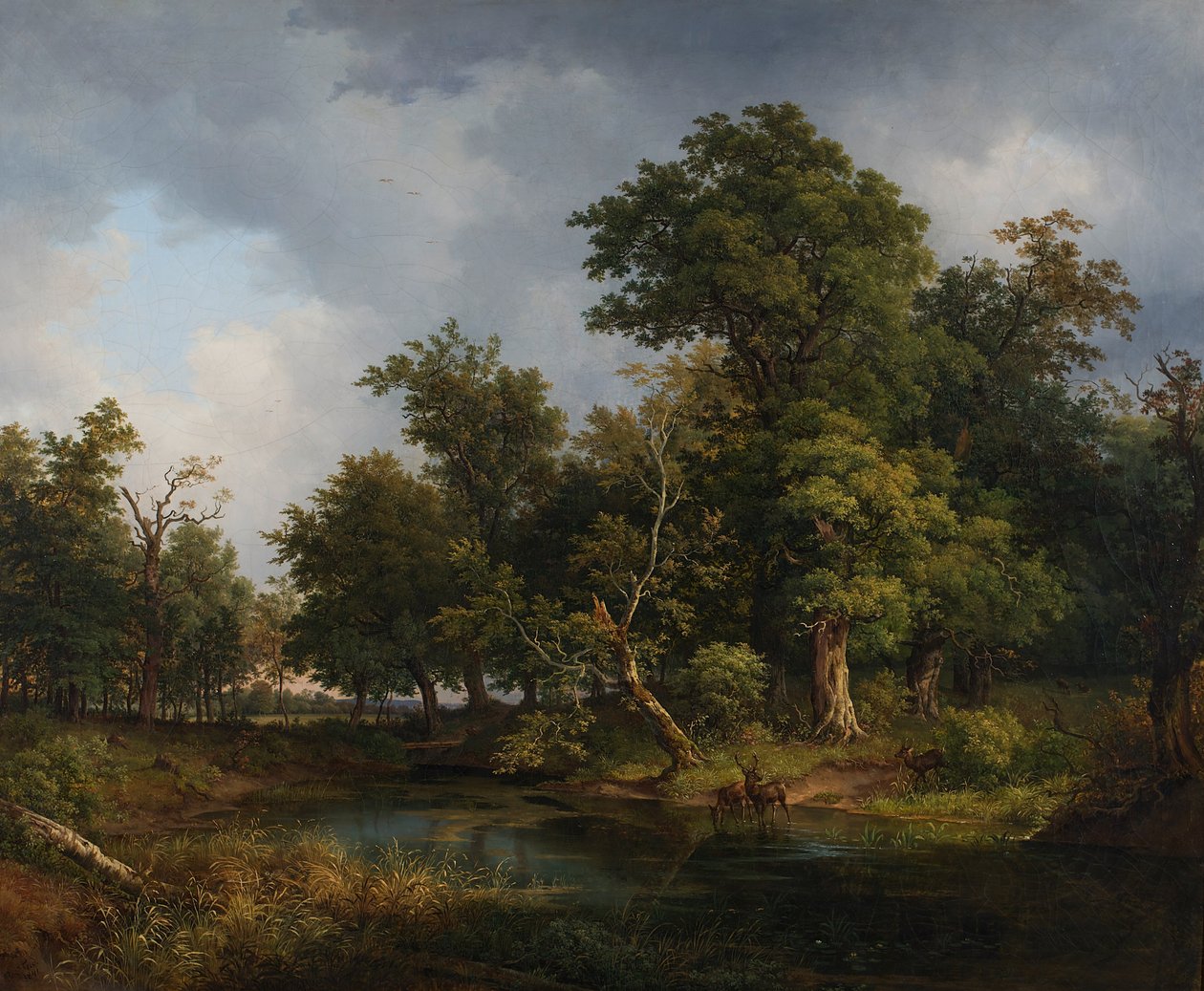 Boslandschap door Josef Feid