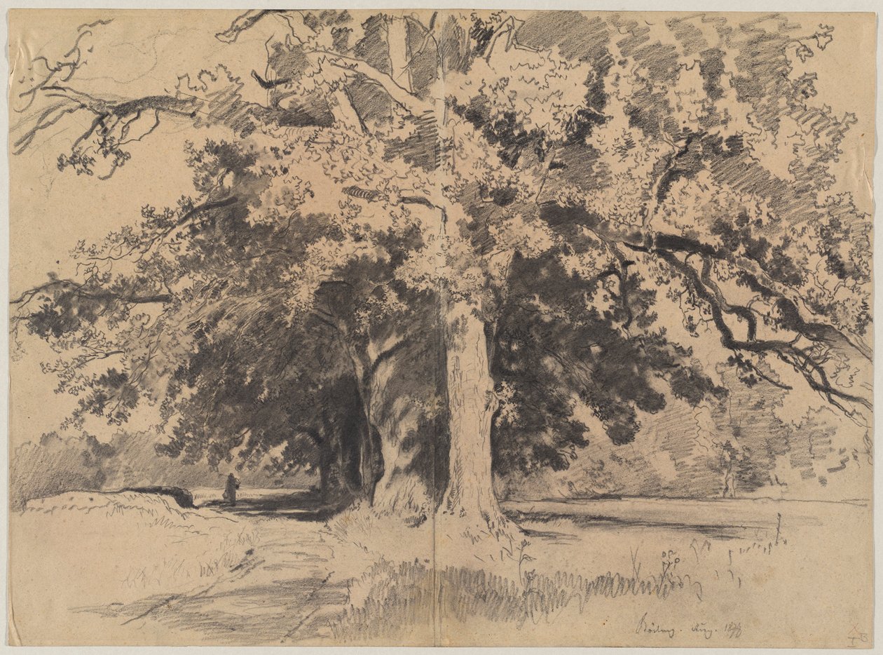 Hoge bomen bij Böding door Josef Wenglein