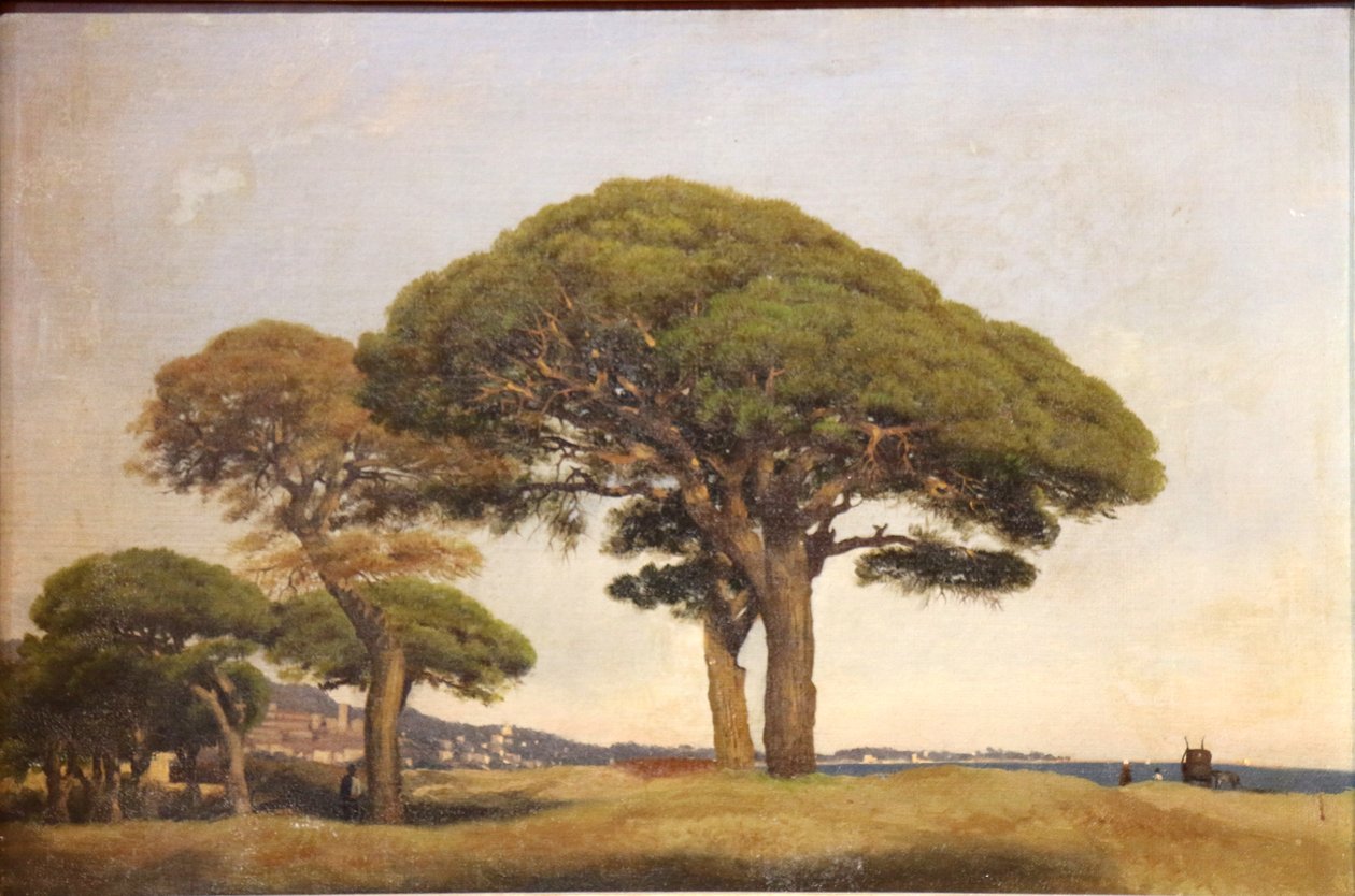 De pijnbomen van de Bocca door Joseph Contini