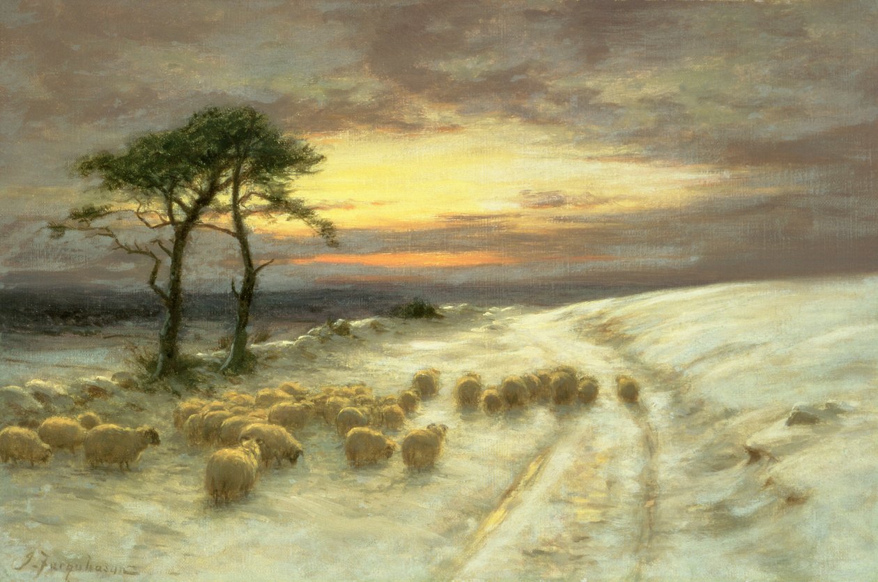 Schapen in de sneeuw door Joseph Farquharson