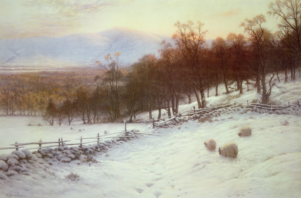 Met sneeuw bedekte velden met schapen door Joseph Farquharson