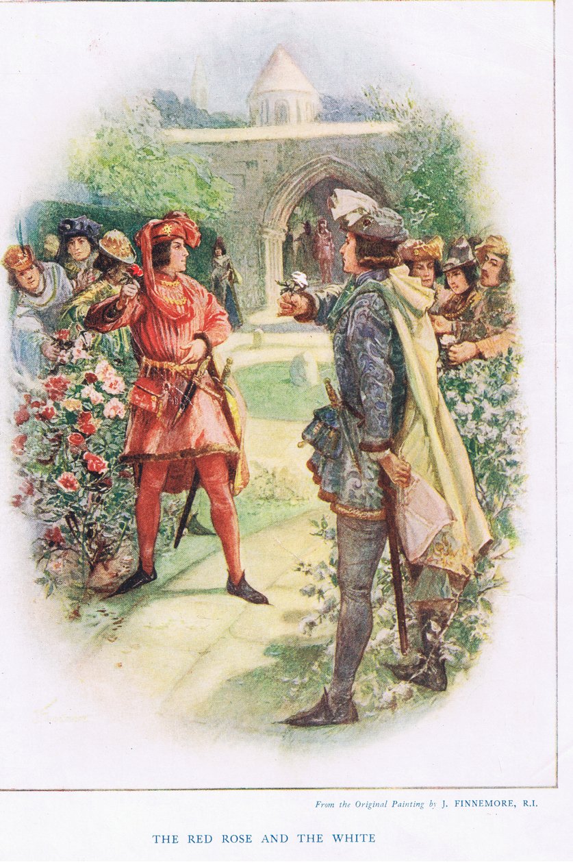 De rode roos en de witte, illustratie uit 
