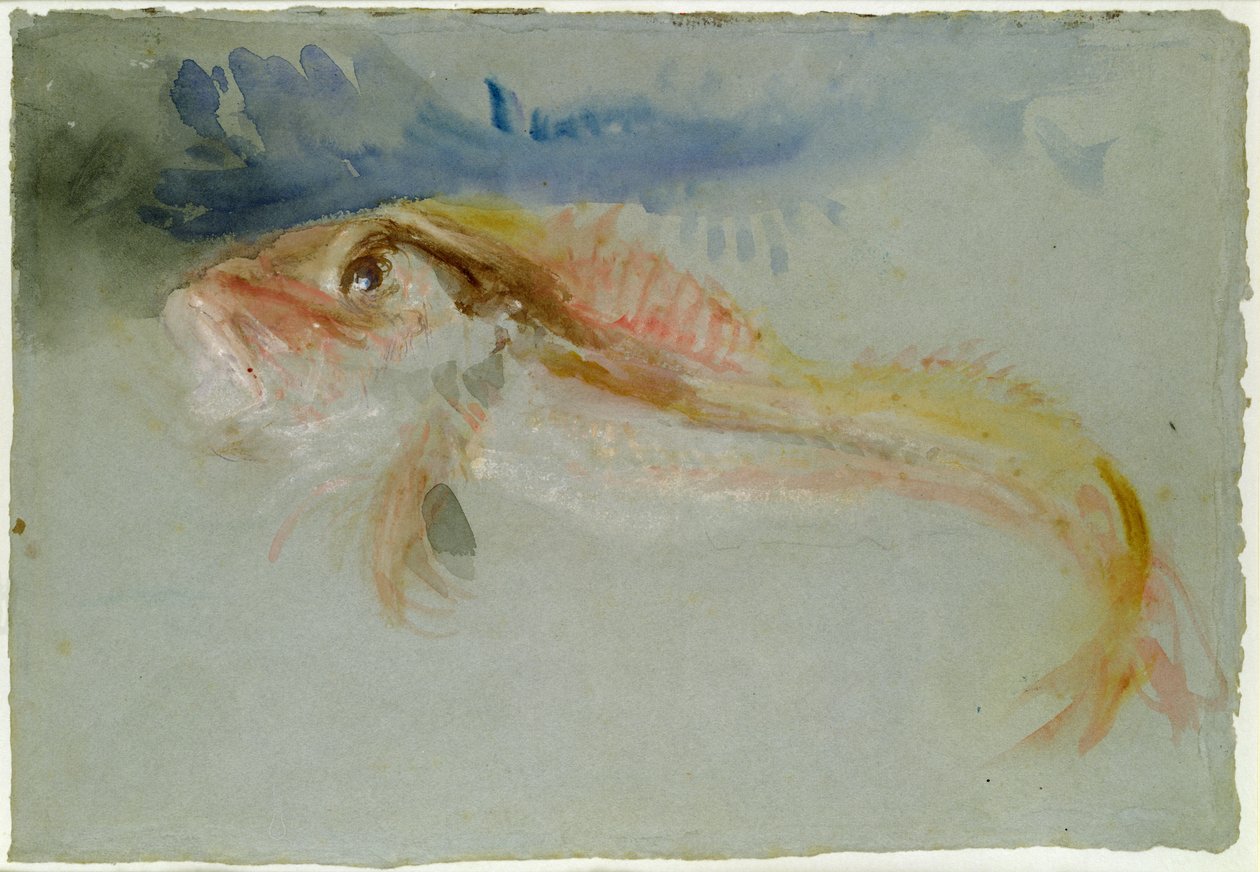 Een poon door Joseph Mallord William Turner