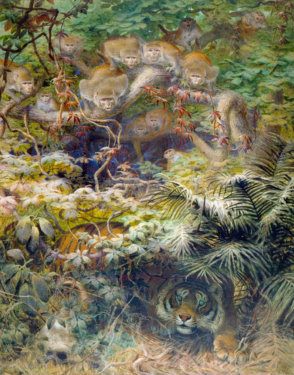 Ruzie in de jungle, 1863 door Joseph Wolf
