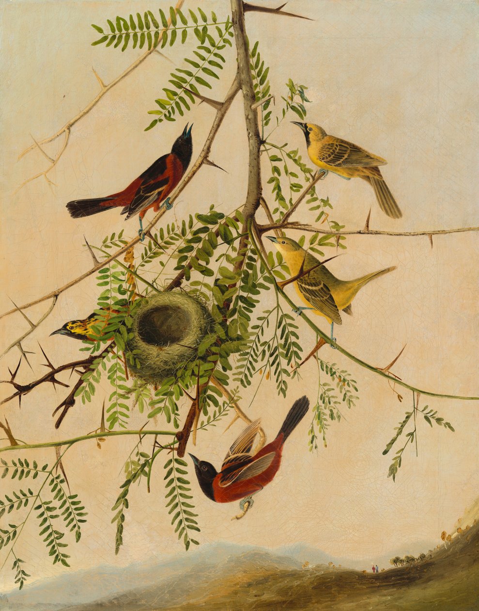 Boomgaard Oriole door Joseph Bartholomew Kidd