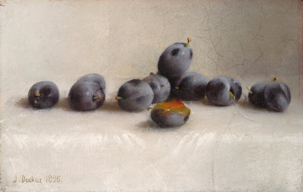 Twaalf Pruimen door Joseph Decker
