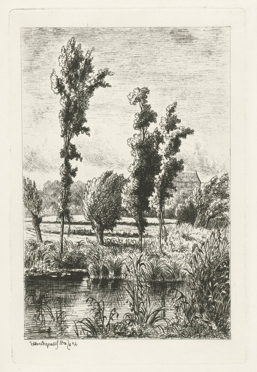 Bomen aan een sloot door Joseph Hartogensis