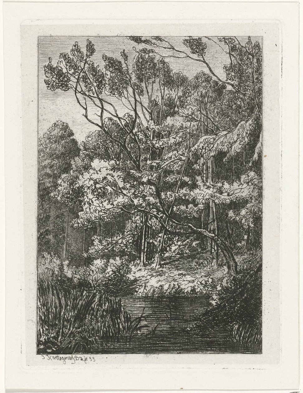 Bosgezicht door Joseph Hartogensis