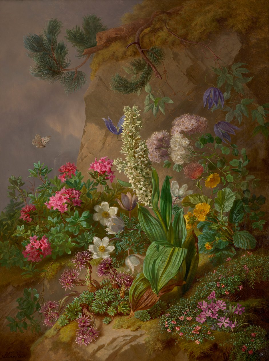 Alpenbloemen door Joseph Schuster