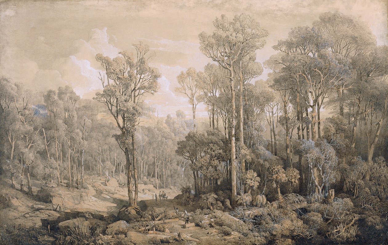 Australisch Bos door Joseph Selleny