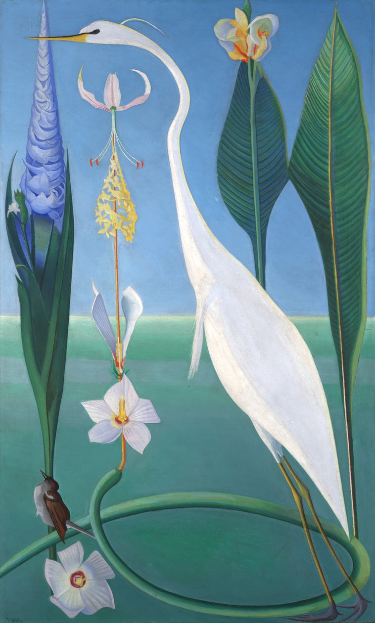 De witte reiger door Joseph Stella