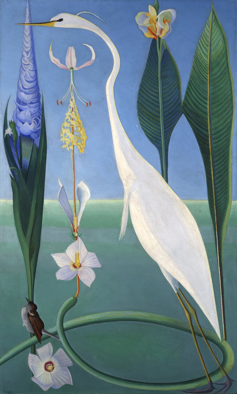 De Witte Reiger door Joseph Stella