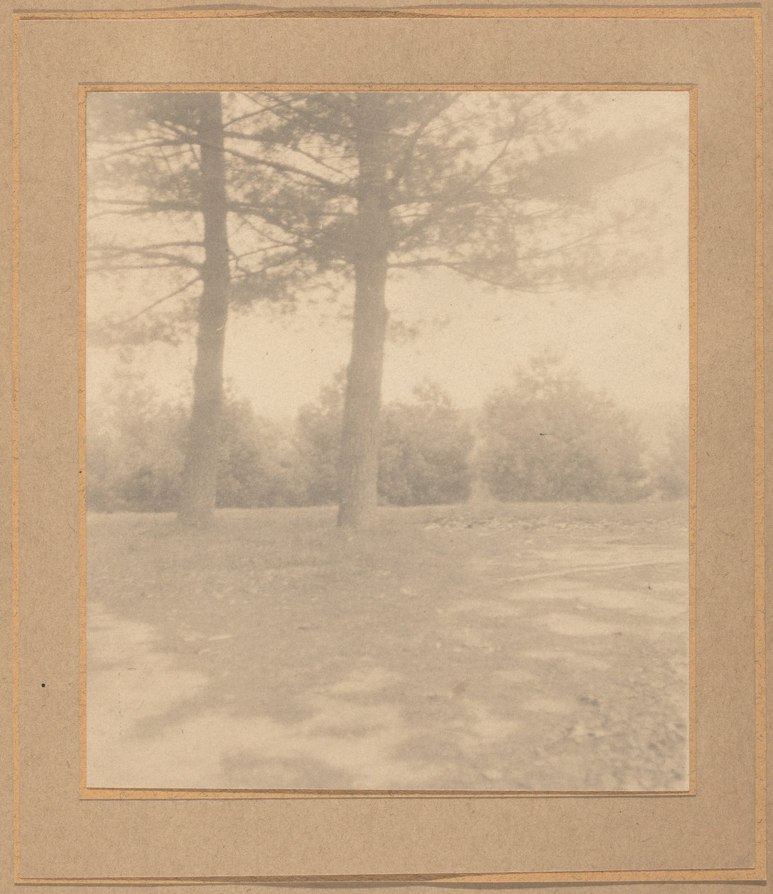 Landschap met bomen door Joseph T. Keiley