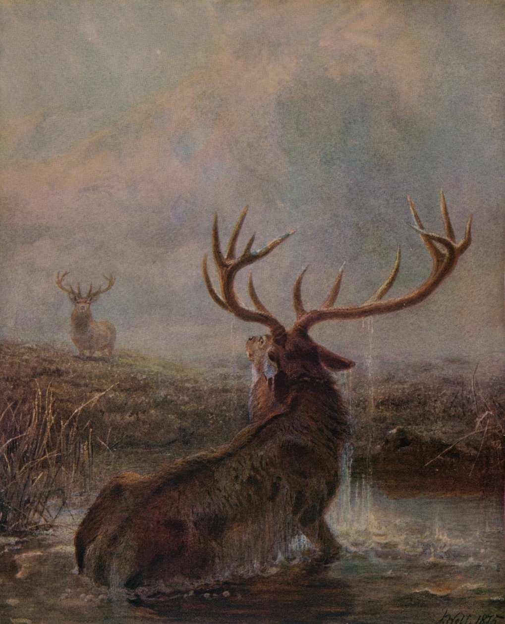 Onderbroken, 1875, 1938 door Joseph Wolf