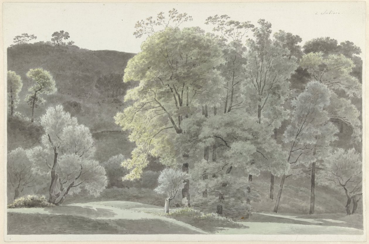 Bomen in de omgeving van Subiaco door Josephus Augustus Knip