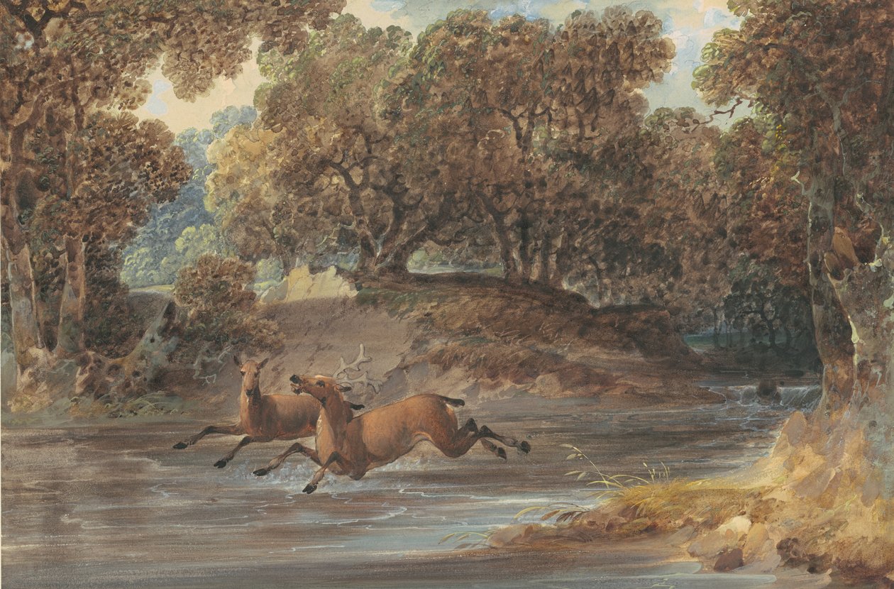 Landschap met Herten, North Carolina, c.1820 door Joshua H. Shaw