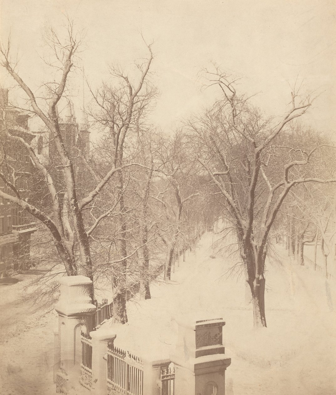 Boston Common Sneeuw Scène,jaren 1850 (foto) door Josiah Johnson Hawes