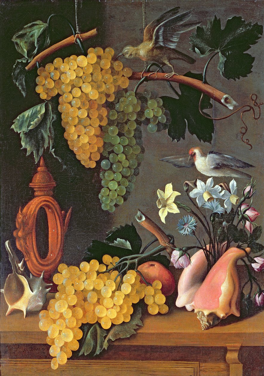 Stilleven met druiven, vogels, bloemen en schelpen door Juan de Espinosa