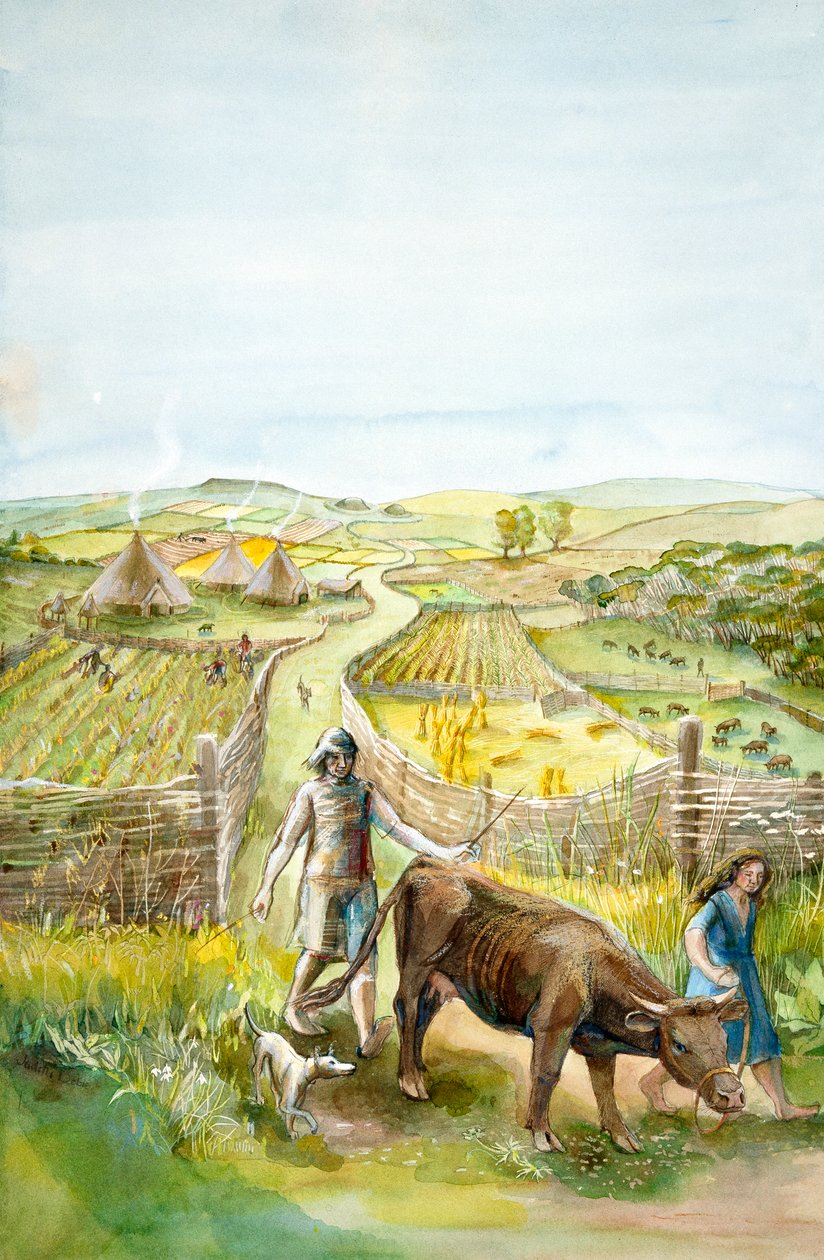 Landelijk Landschap door Judith Dobie