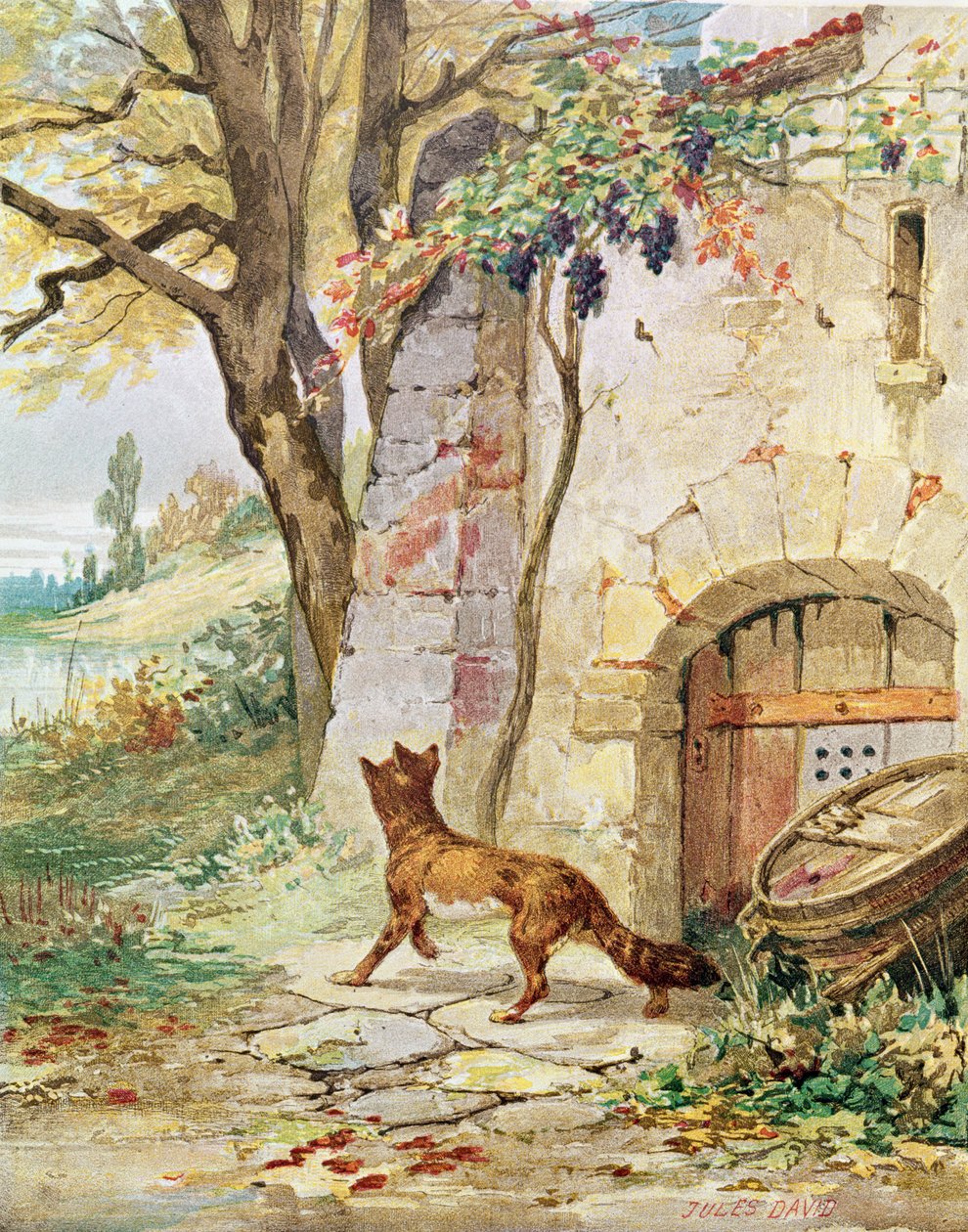 De vos en de druiven, illustratie voor 