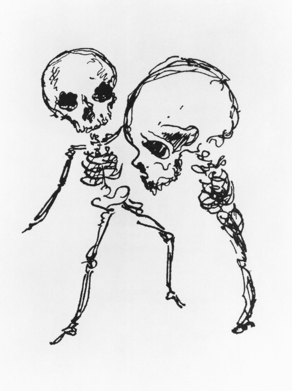 Skeletten, illustratie uit 
