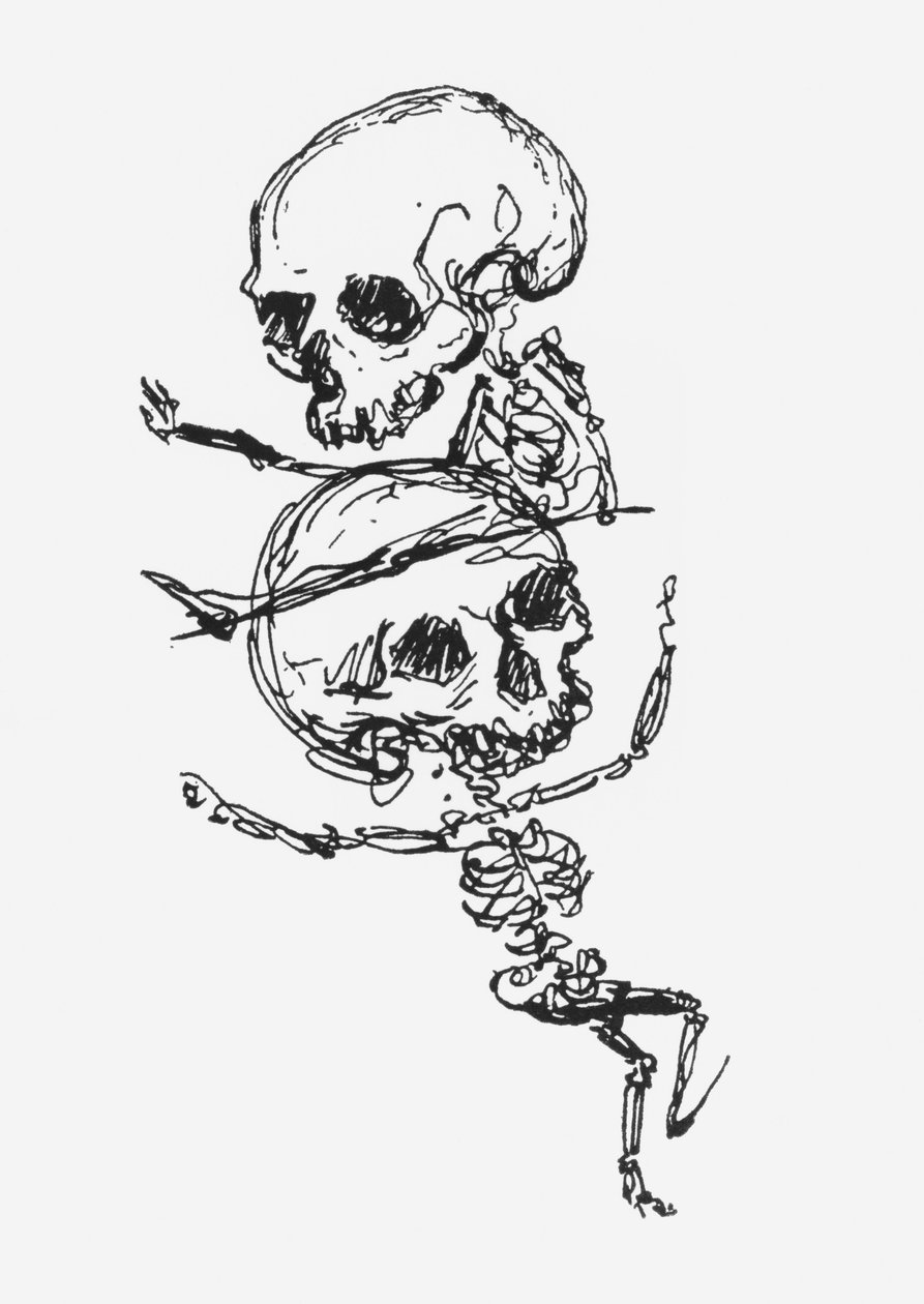 Skeletten, illustratie uit 