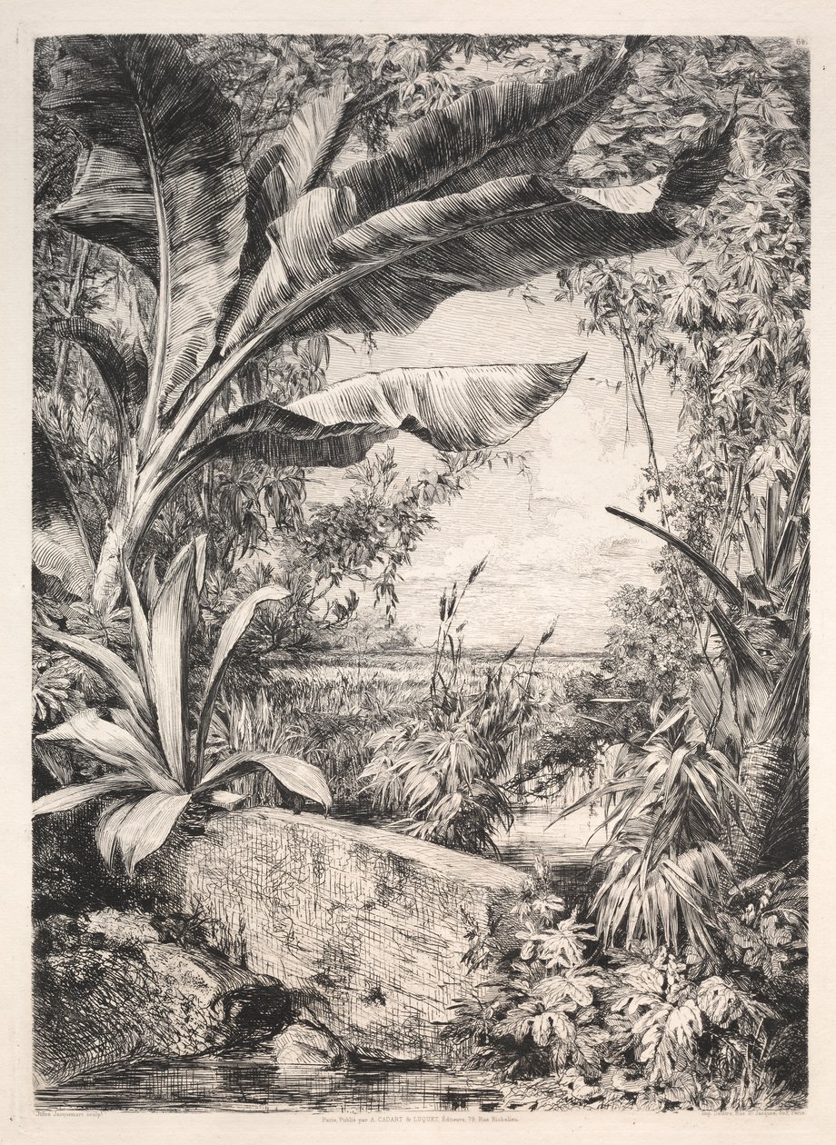 Planten van de Kas door Jules Jacquemart