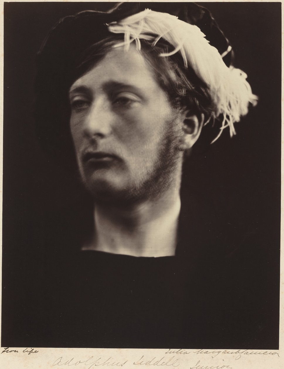 Adolphus Liddell, Junior door Julia Margaret Cameron