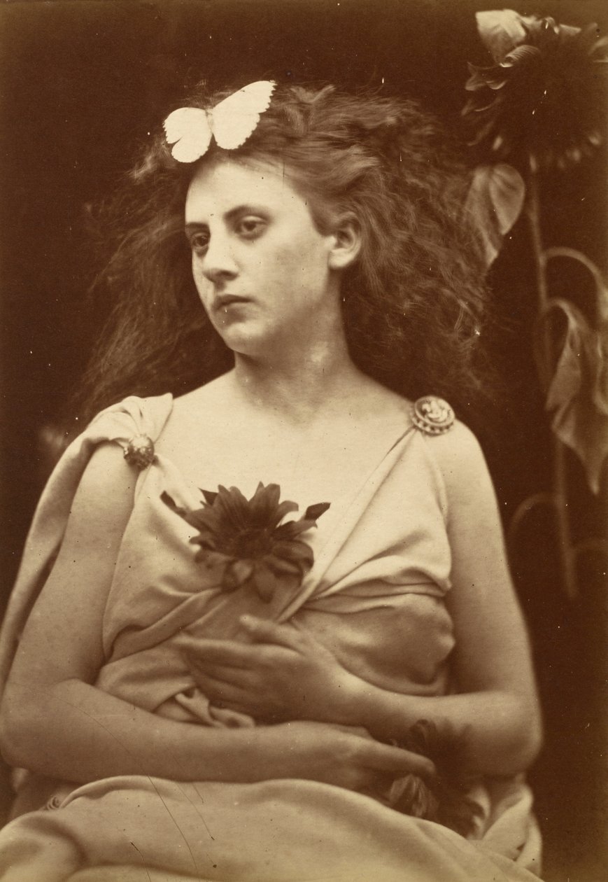 De Zonnebloem, vroege 1870s door Julia Margaret Cameron