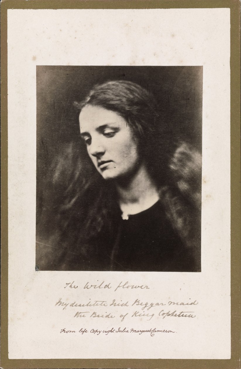 De Wilde Bloem door Julia Margaret Cameron