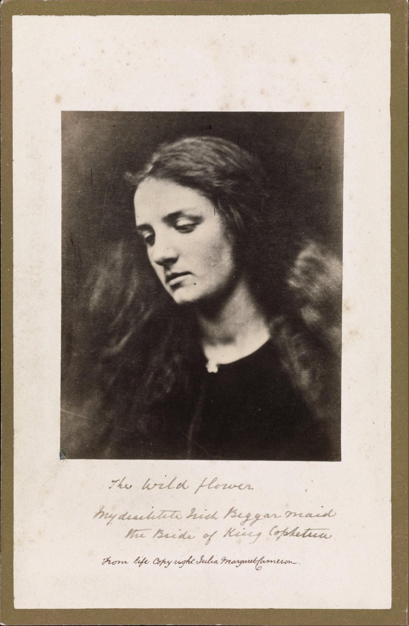 De wilde bloem door Julia Margaret Cameron