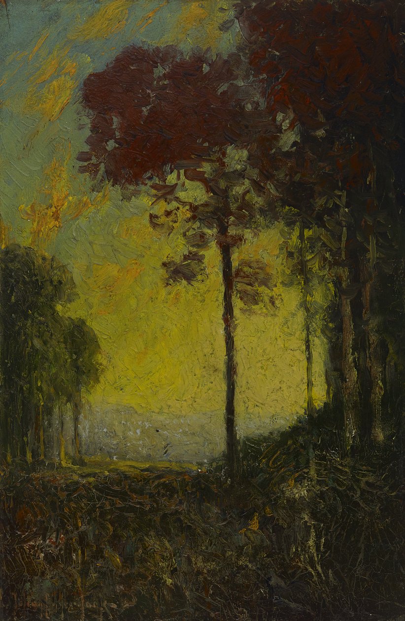 Herfstzonsondergang door Julian Onderdonk