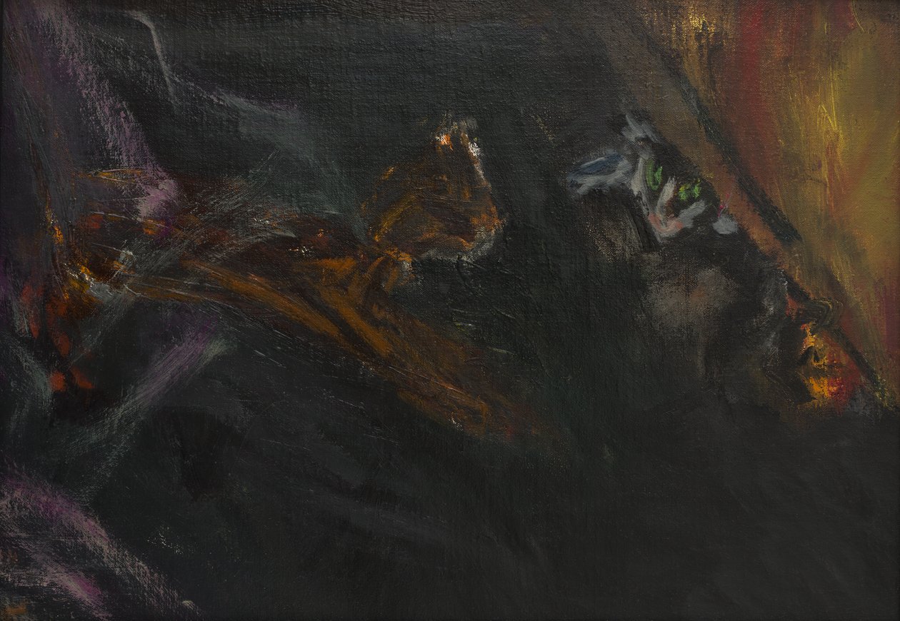 Kittens aan het spelen, 2016 door Julie Held