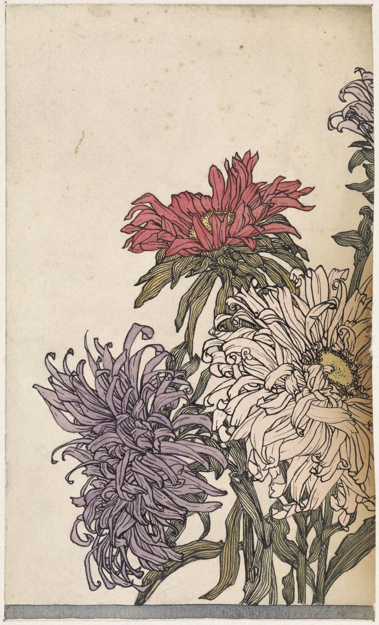 Chrysanten door Julie de Graag